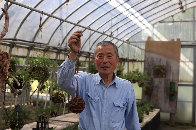 つりしのぶ園」の園主・市原誠さん