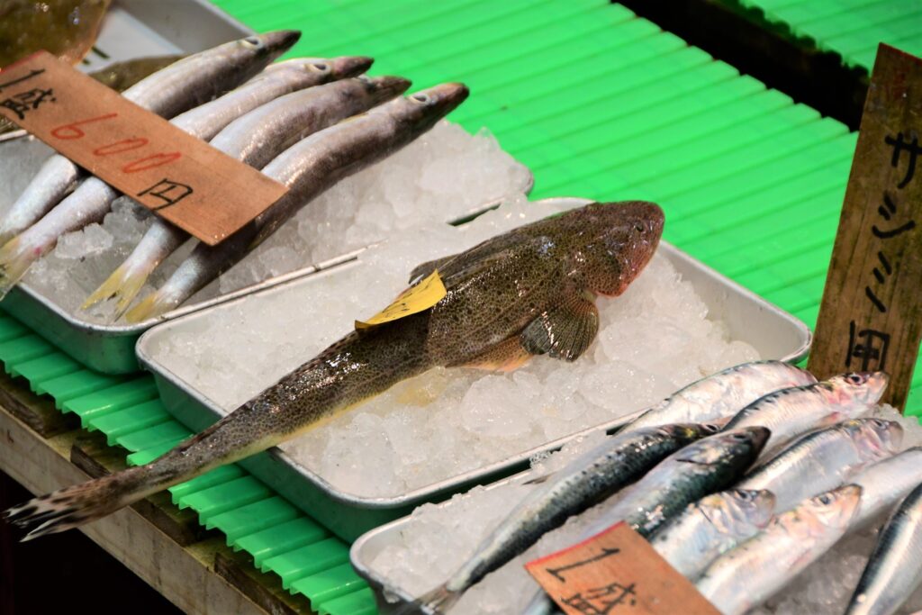 鮮魚