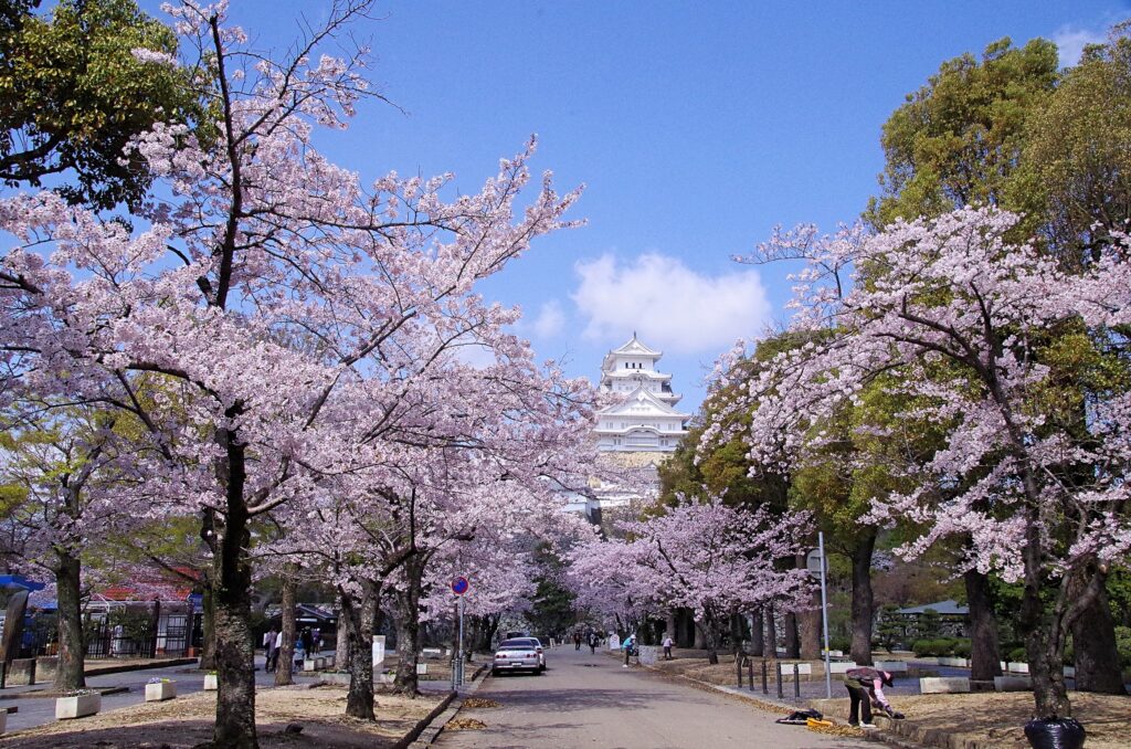 美術館前