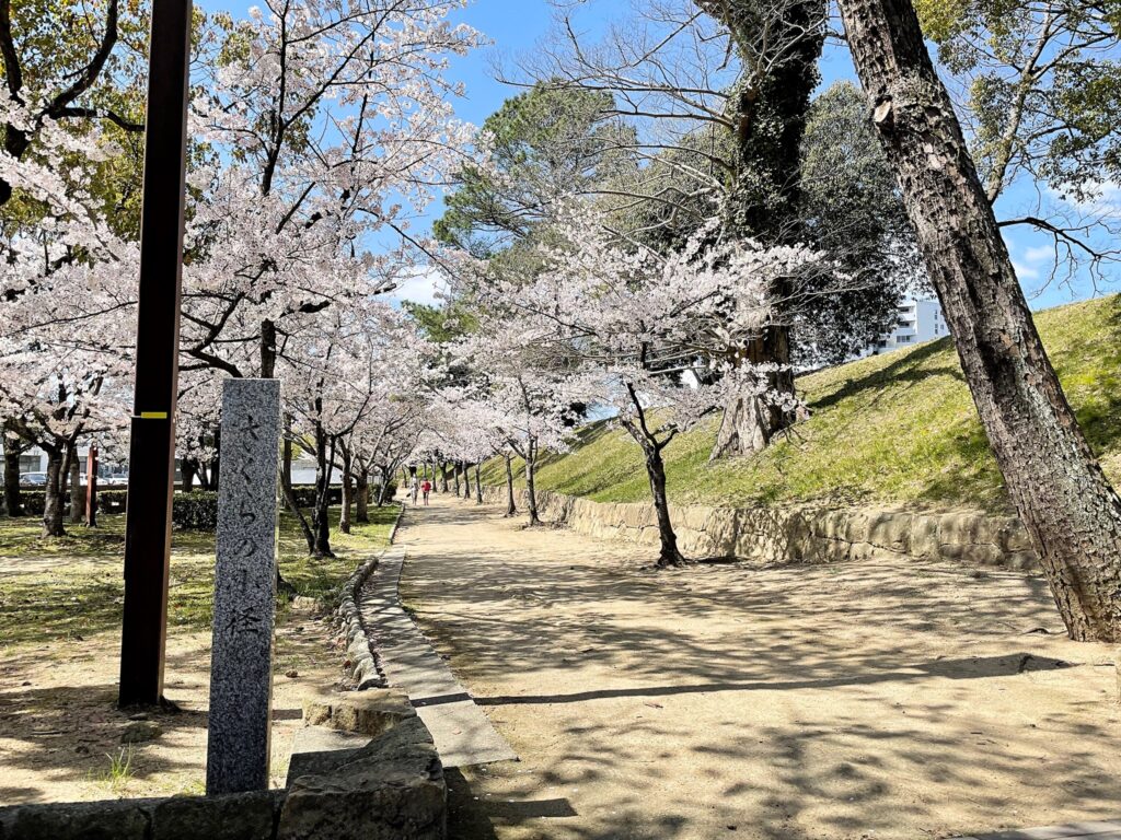 好古園前 さくらの小径