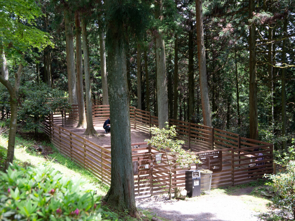 播州清水寺　立派なドッグランがあります