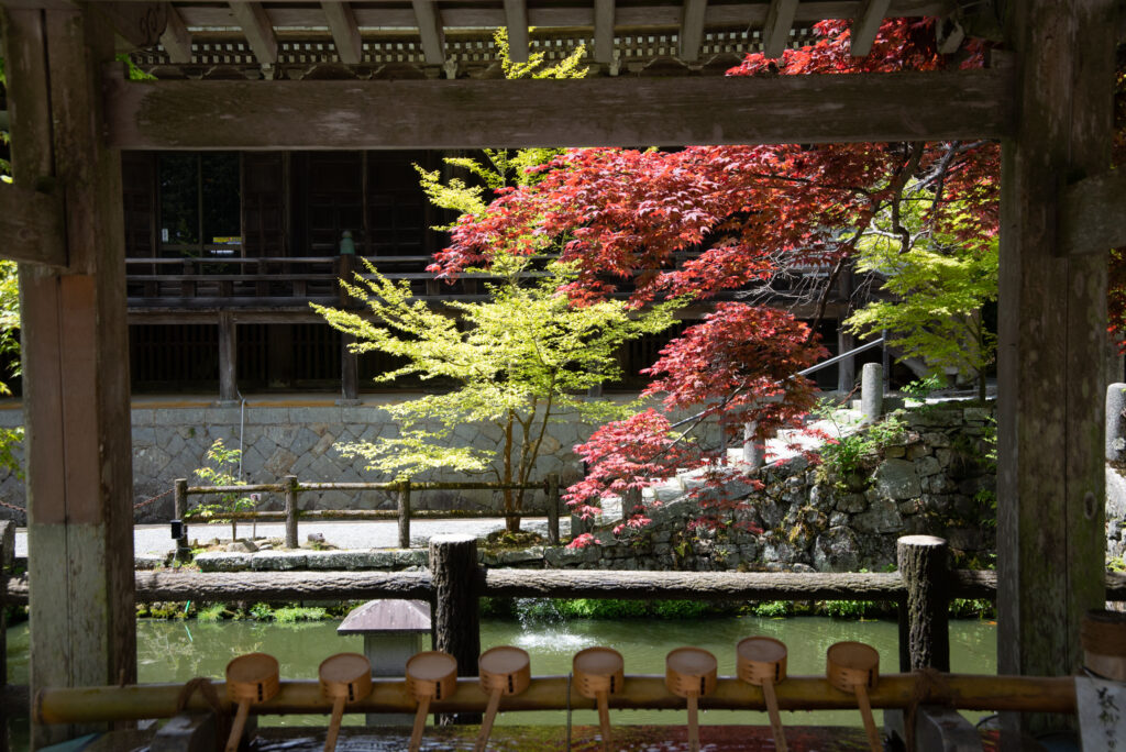 播州清水寺　放生池手前の洗心甘露水