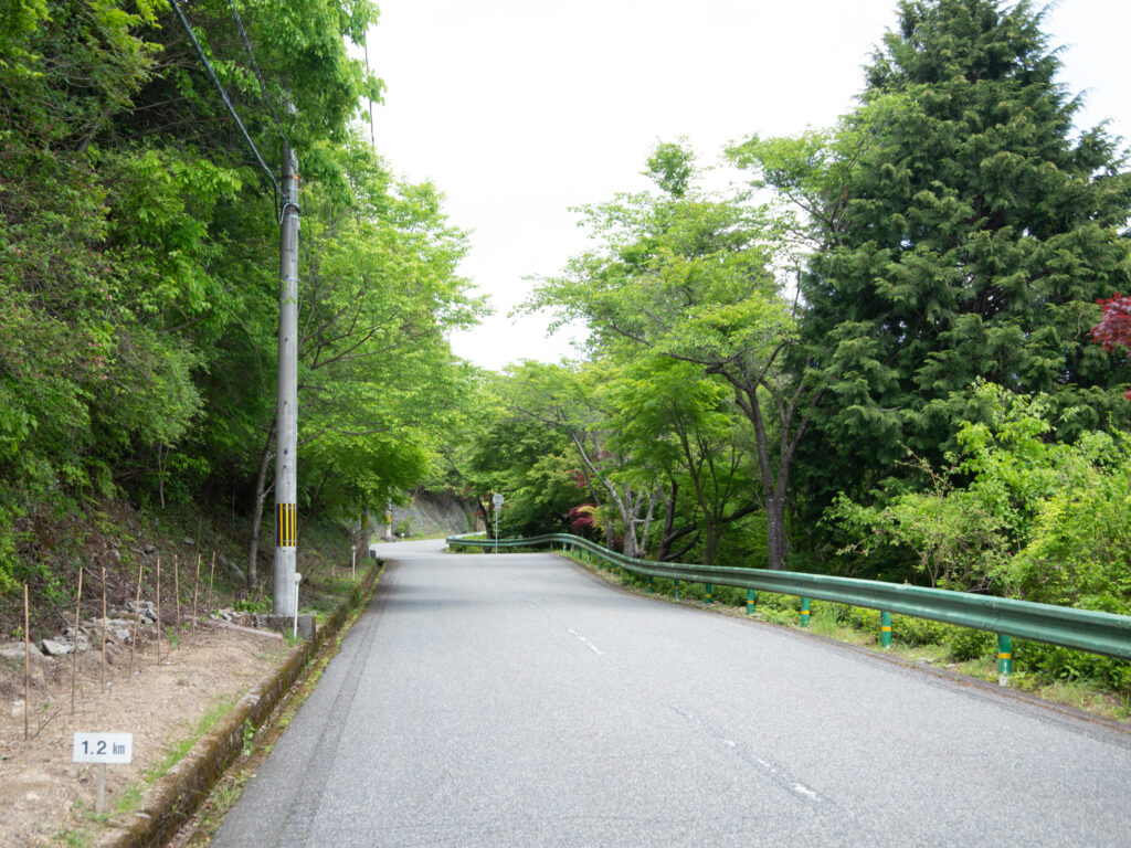 ゲートから1.2km付近。季節によって様々な彩りが楽しめそう