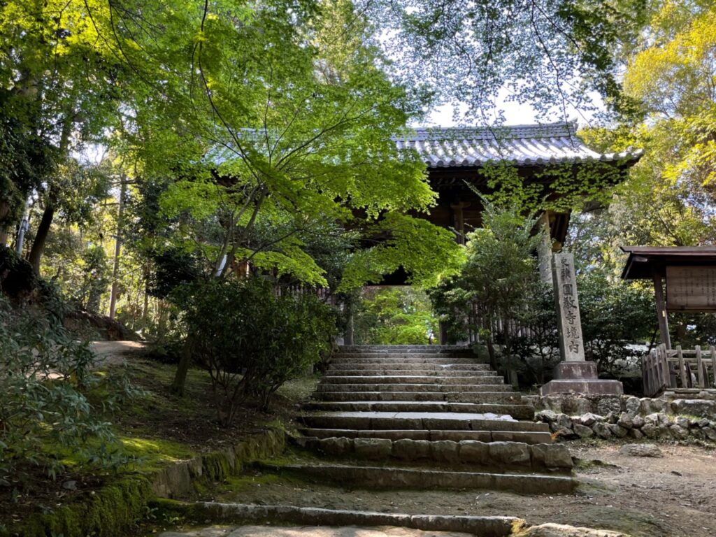 仁王門。秋の伊呂波紅葉も美しいが新緑は清々しい