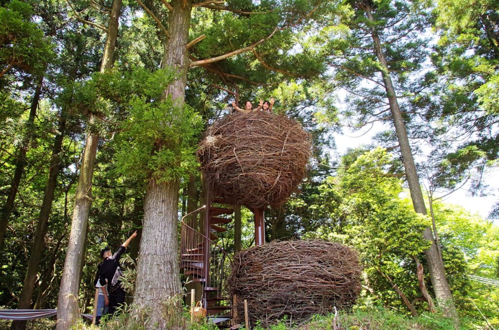 鳥の巣（バーズネスト）のようなもの