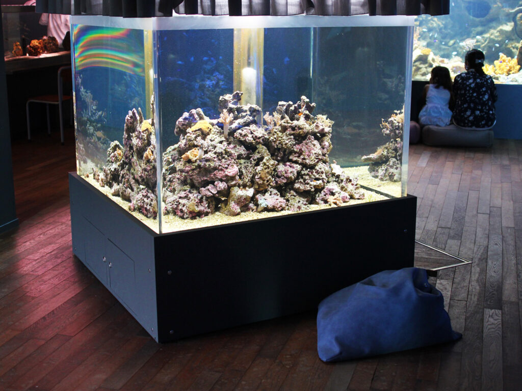 水族館