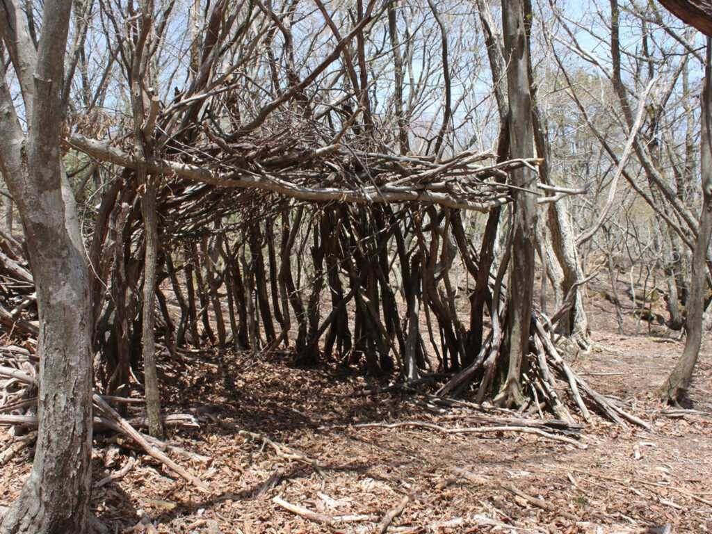 秘密基地