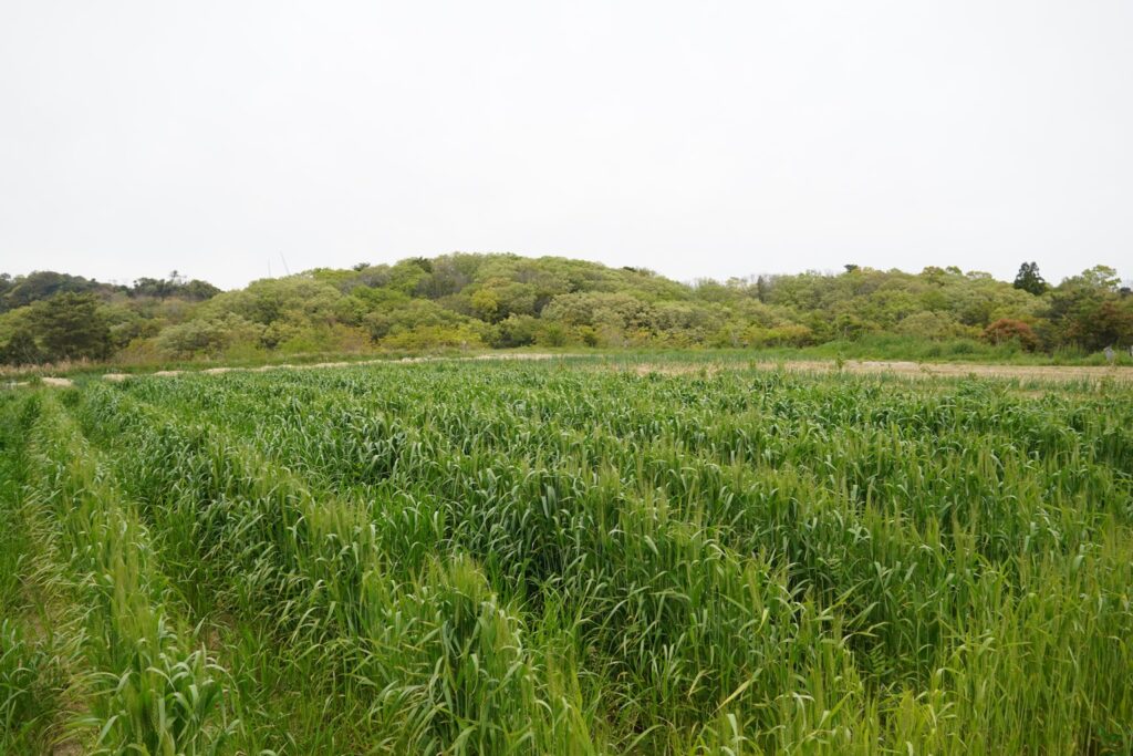 淡路市野島エリアの「Awaji Nature 
Lab& Resort」　淡路にある農家レストラン
