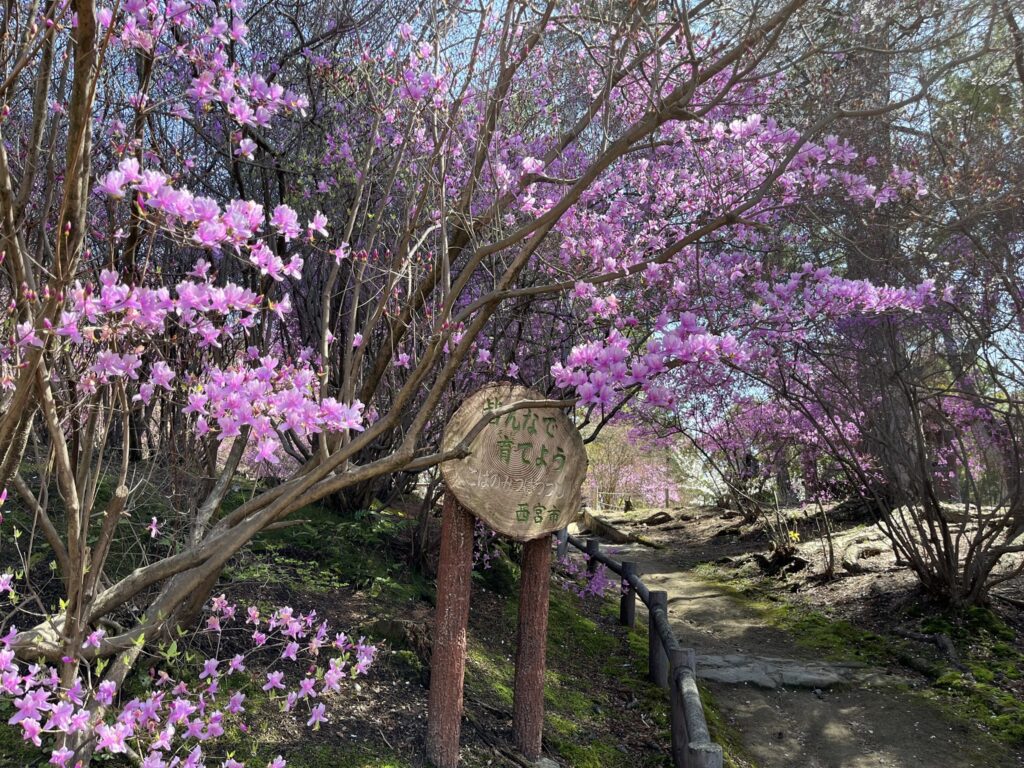 広田山公園へと続く、ゆるやかな坂道