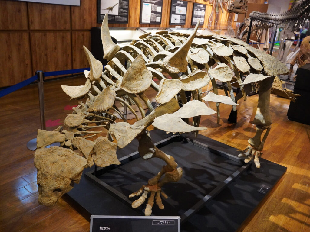 ガストニアの全身骨格模型（産地：アメリカ ユタ州）