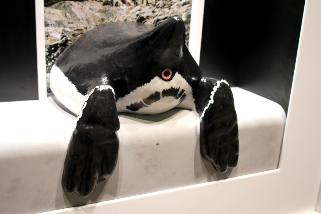 動物のおしりの匂いを嗅ぐことができる展示