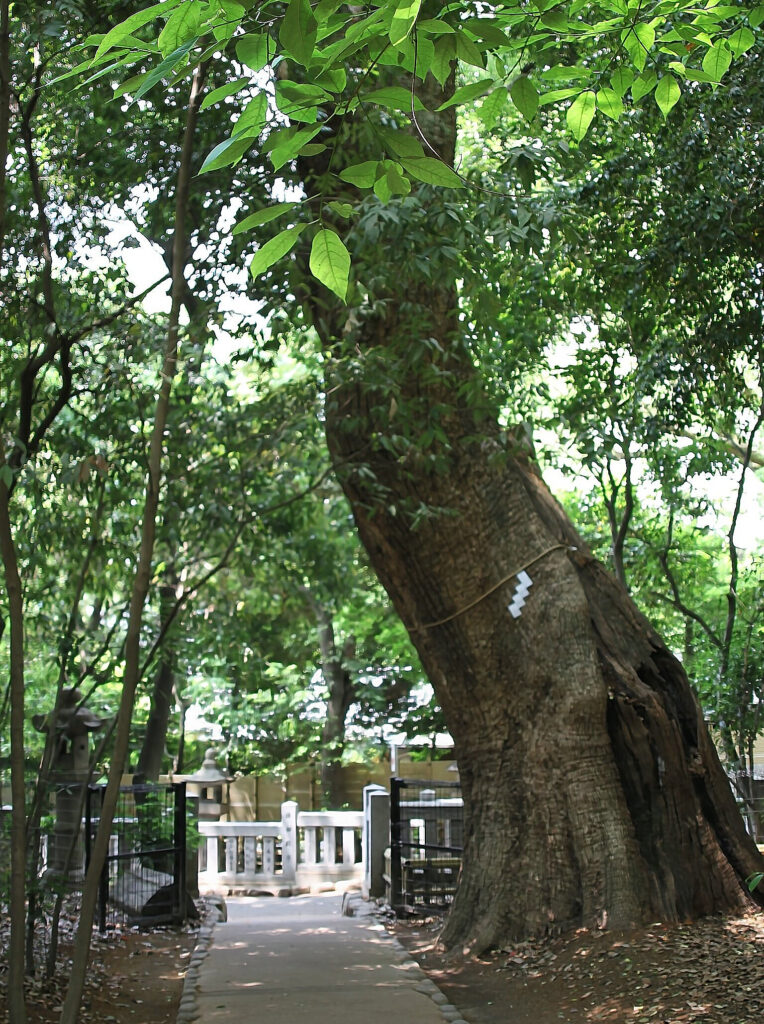 生田の森