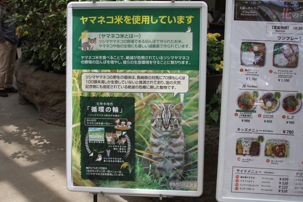 「ツシマヤマネコ米」