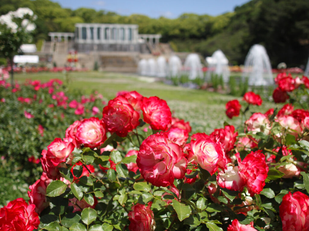 『神戸市立須磨離宮公園』