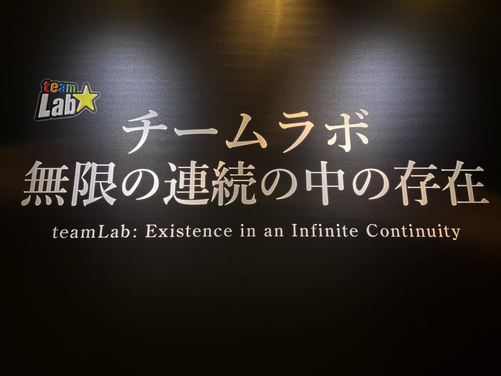 『チームラボ 無限の連続の中の存在』