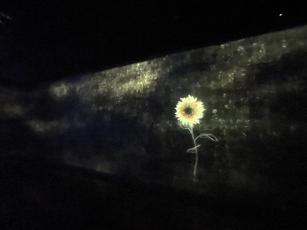 作品