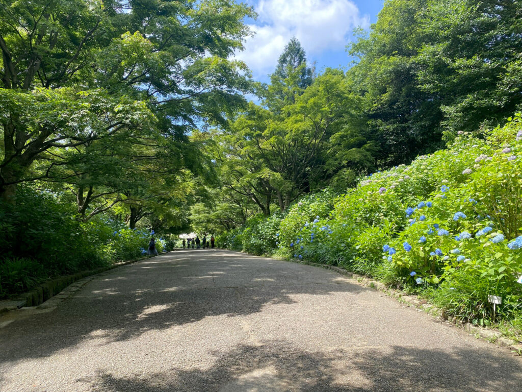 『神戸市立森林植物園』