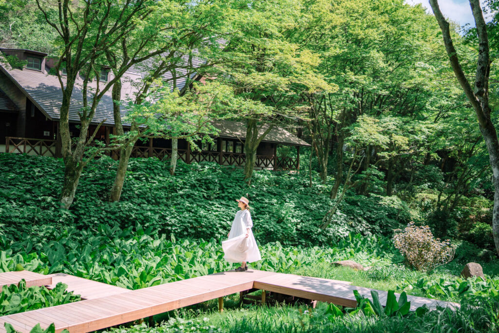 写真提供：『六甲高山植物園』