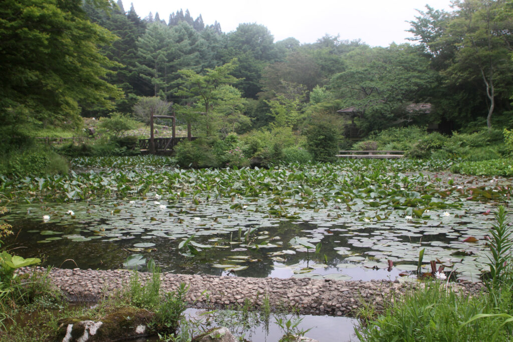 湿地