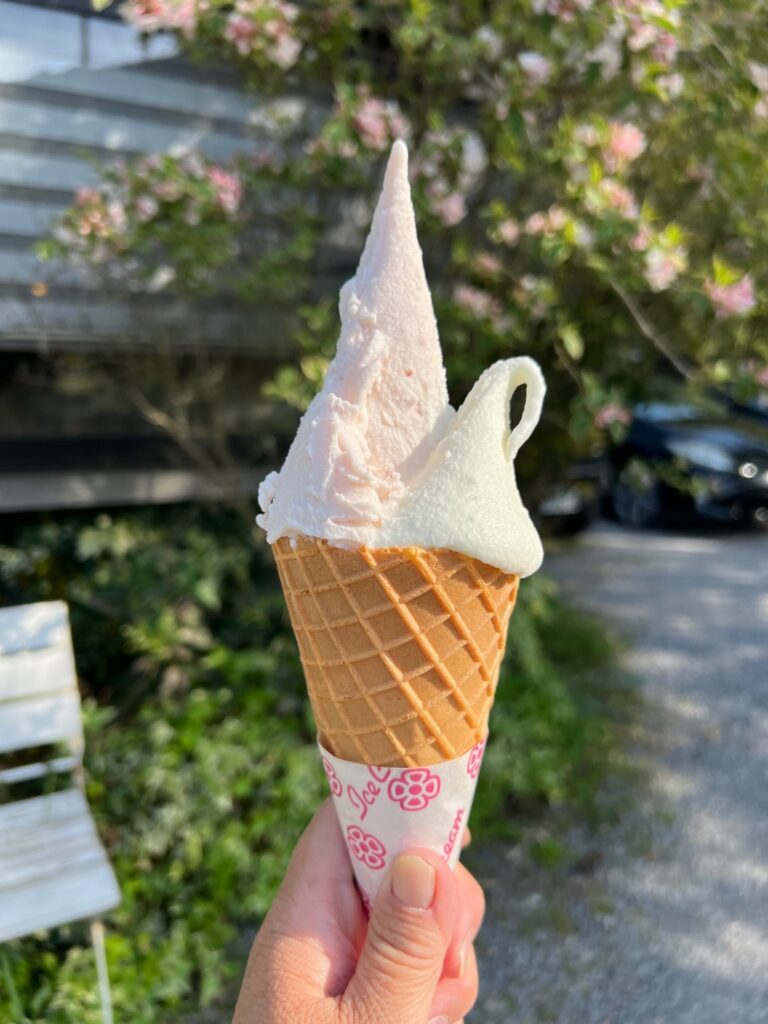 盛り方も芸術的