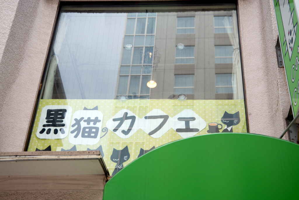 道路から見上げると、ちらっとくろねこさんの姿が