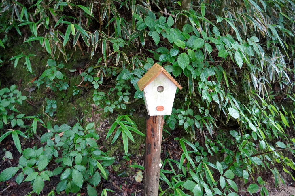 バードハウスかと思いきや、これもひもを引くと音が流れるオルゴール