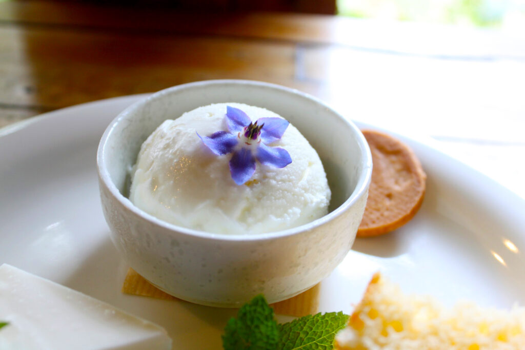 自家製アイスクリーム
