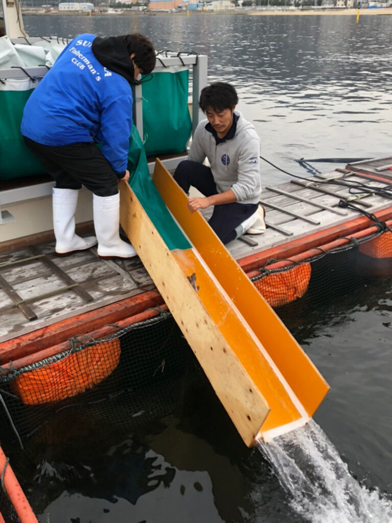 写真提供：『すまうら水産』