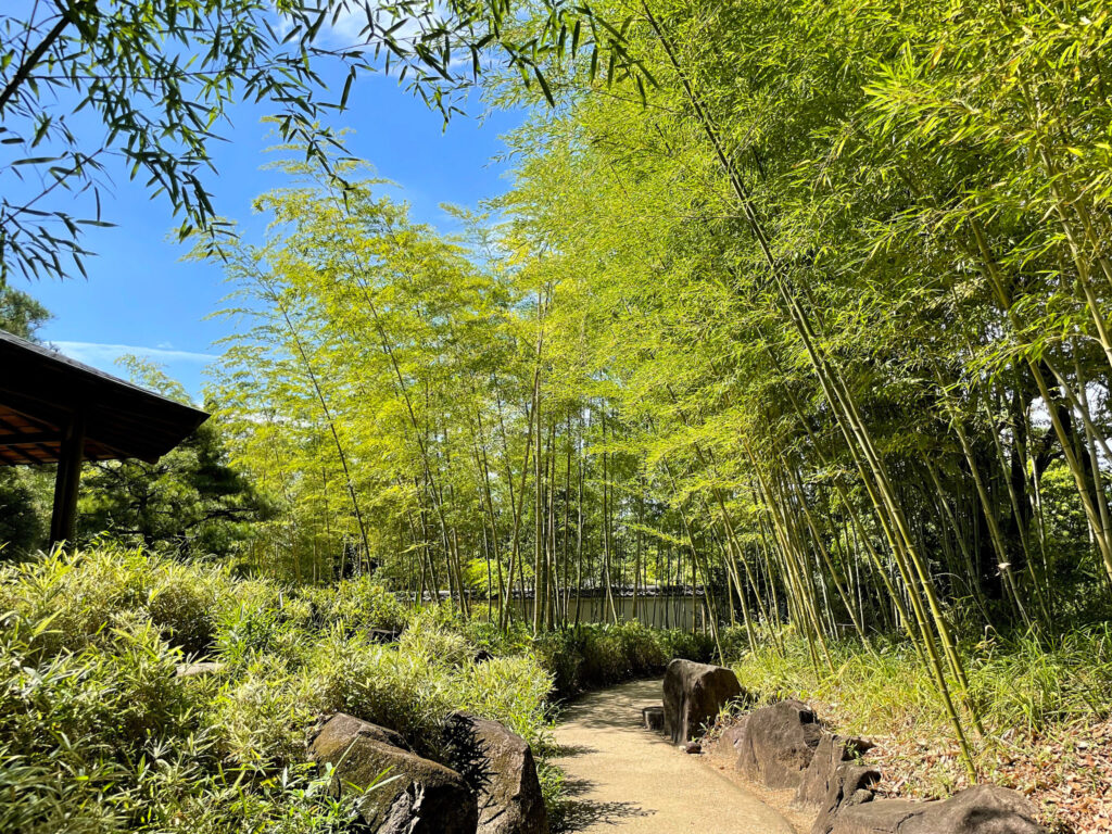 「竹の庭」