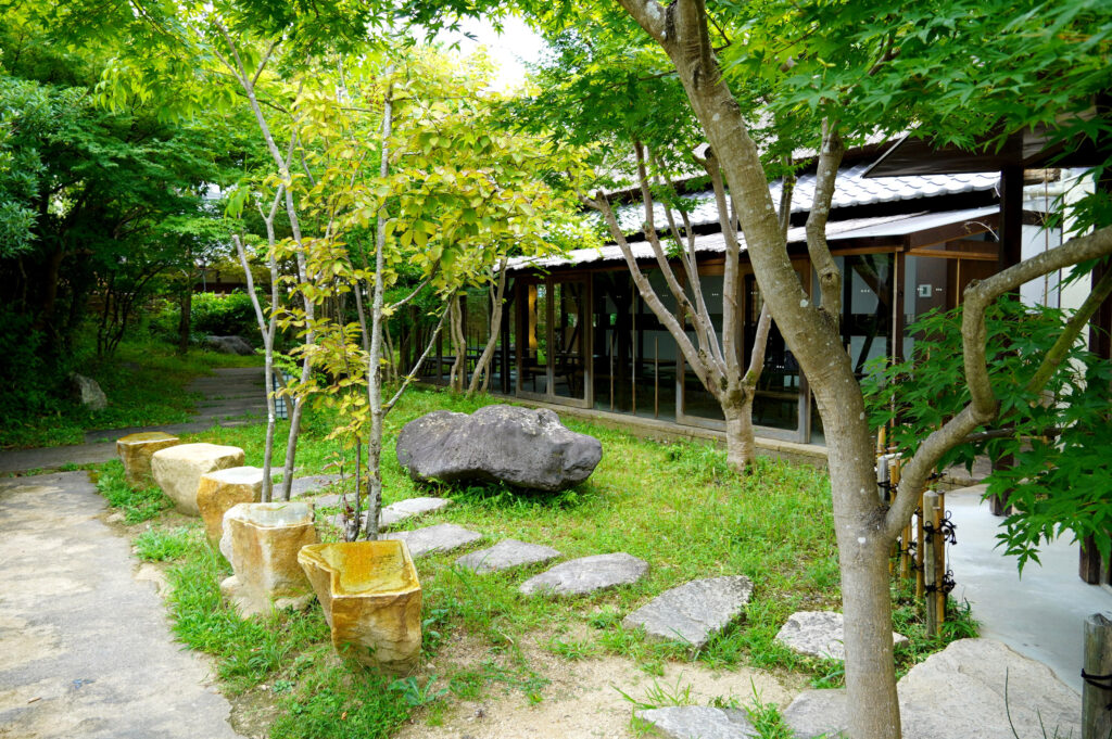 竹や落葉樹が植えられた庭