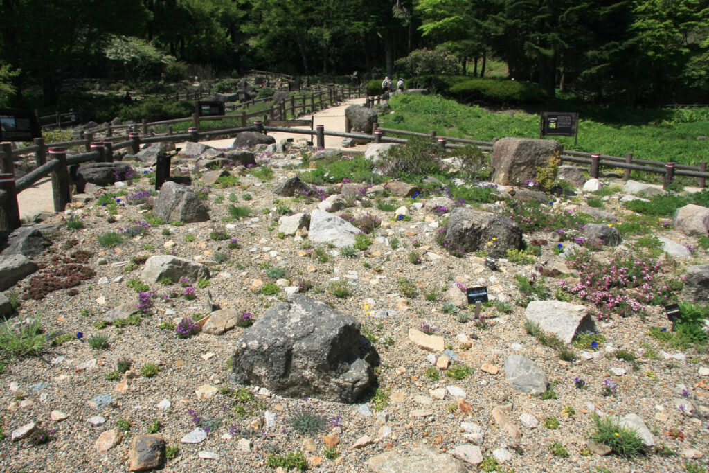 写真提供：『六甲高山植物園』