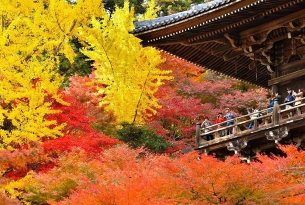 （写真提供：書寫山圓教寺）