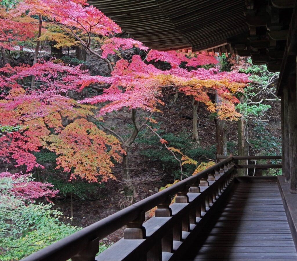 （写真提供：書寫山圓教寺）