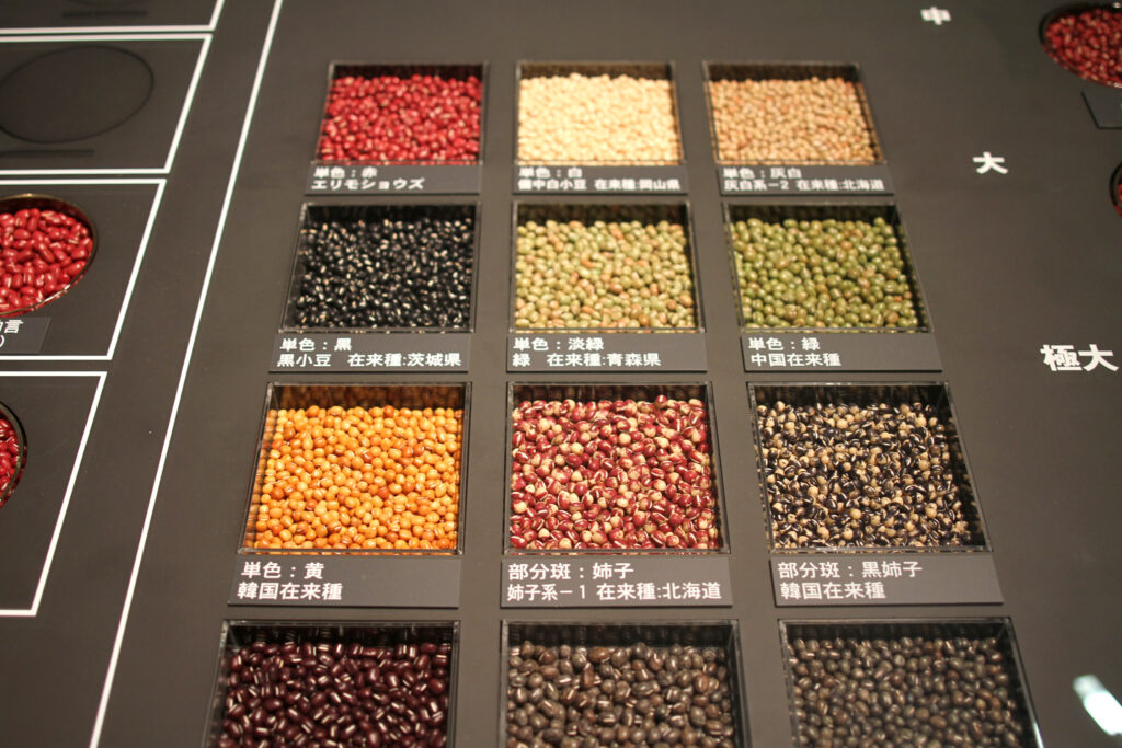 小豆