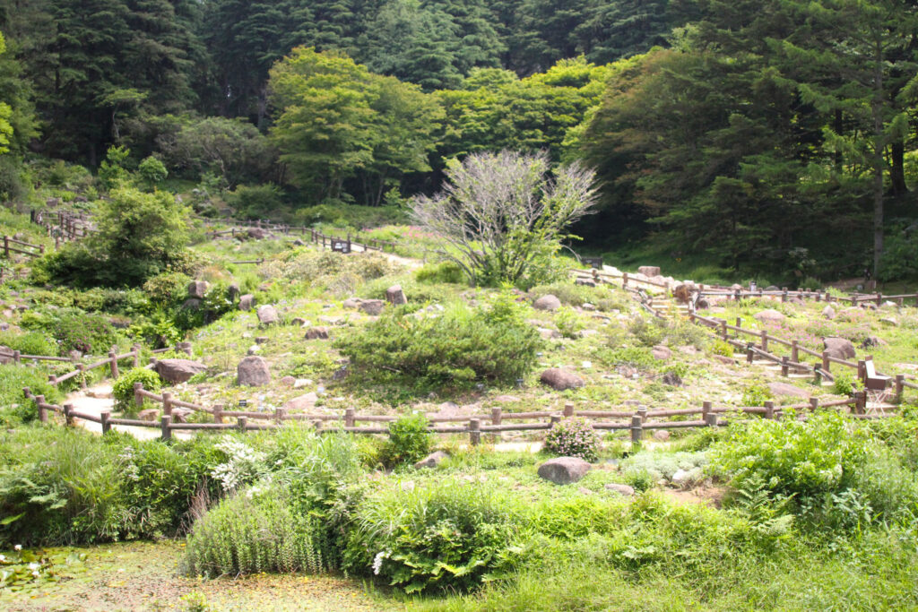 『六甲高山植物園』