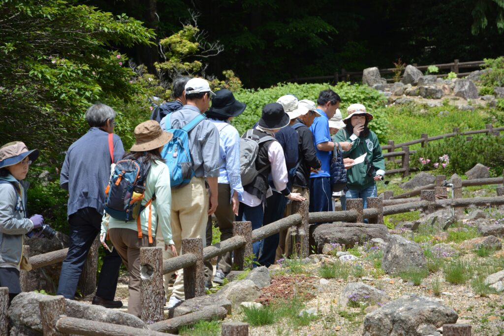 写真提供：『六甲高山植物園』