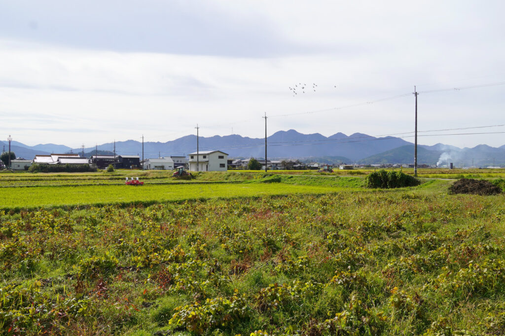 『丹波たぶち農場』
