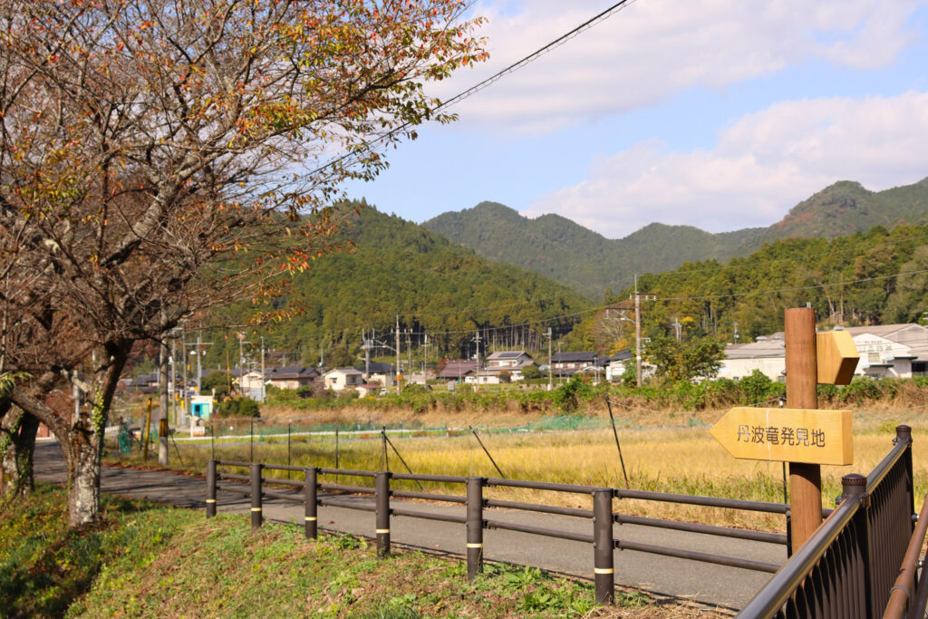 『元気村かみくげ』から『丹波竜発見地』へは篠山川沿いに遊歩道が整備されています