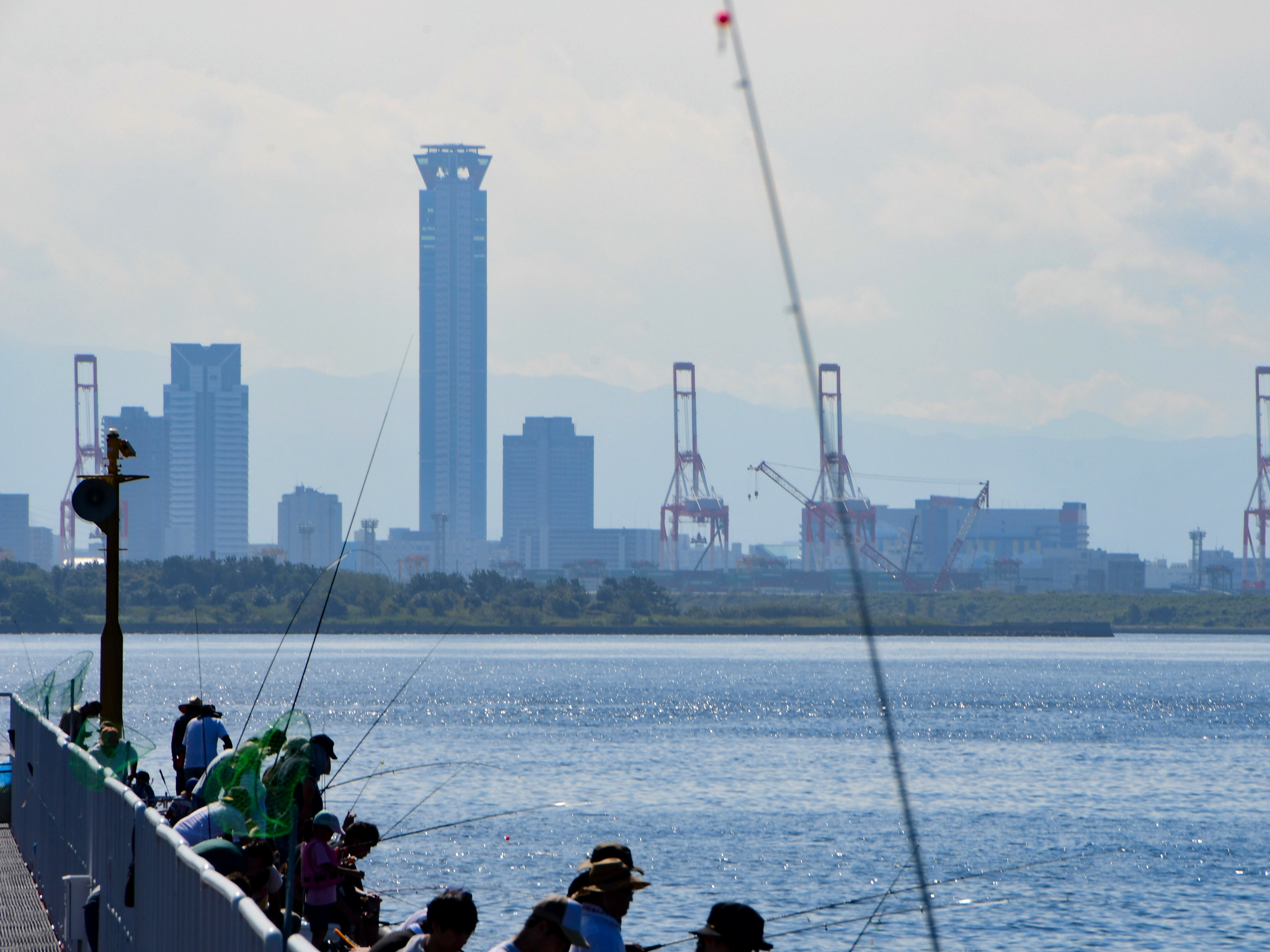 尼崎市立魚釣り公園