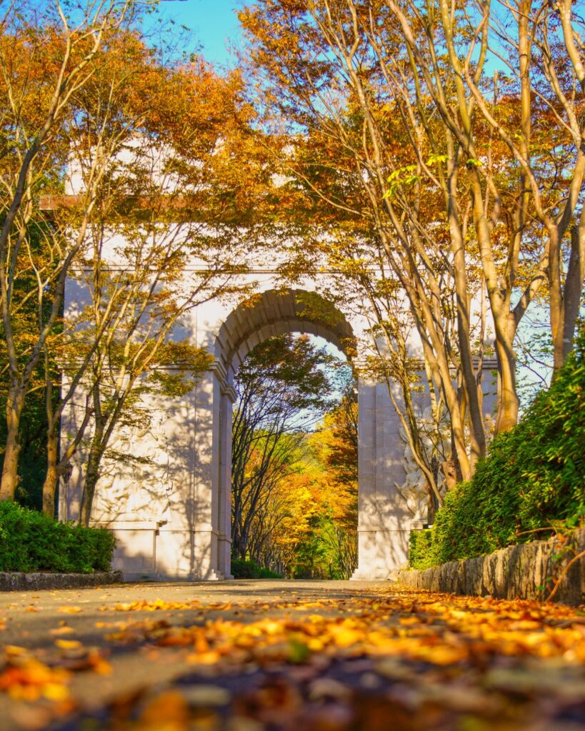 写真提供：太陽公園