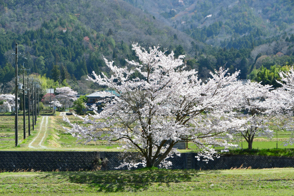 昔話に出てきそうな景色