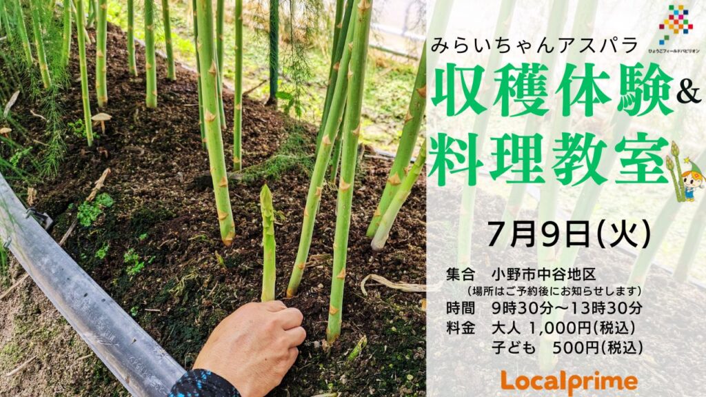 みらいちゃんアスパラ収穫体験＆料理教室