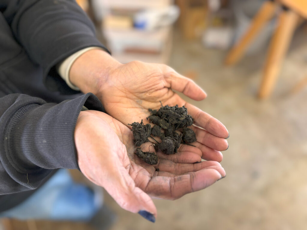 藍の葉を発酵させて作った“すくも”